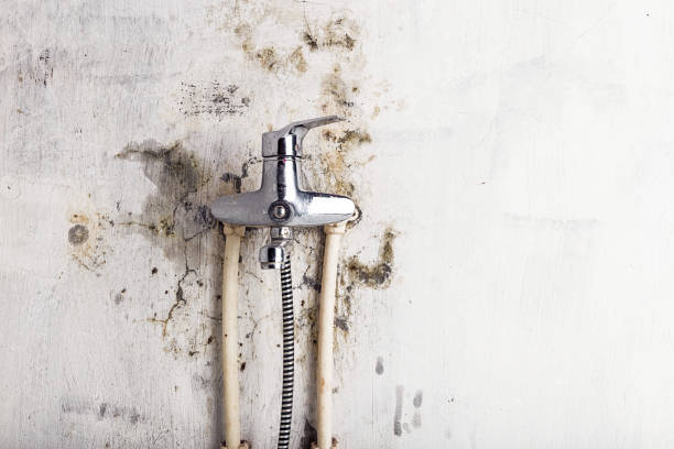 Best Water Damage Restoration  in Chalfont, PA