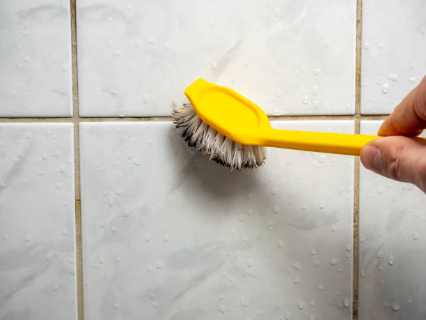 Best Professional Mold Removal  in Chalfont, PA